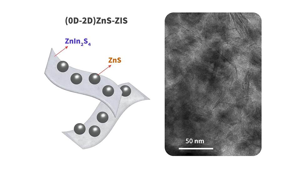 陳貴賢團隊將0維的ZnS奈米顆粒沉積在2維的ZIS奈米片之上，就好像做巧克力豆餅乾一樣，形成複合的異質半導體，做為光催化材料用途。左圖是示意圖，右圖是電子顯微鏡下的照片，Zn:In 比例為1:0.46。圖｜研之有物（資料來源｜Nano Energy）